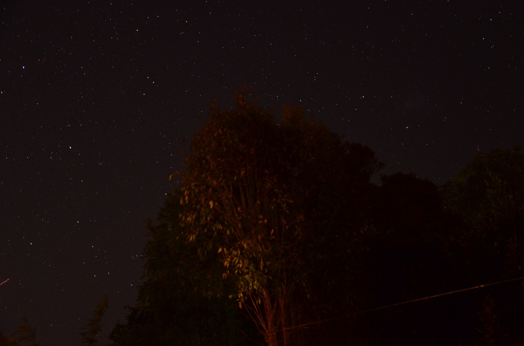Up there/Southern Hemisphere/DSC_0213.JPG